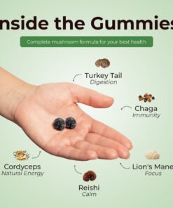 Super Mushroom Daily Gummies® for Kids